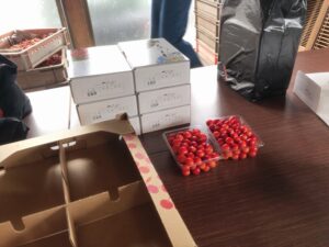 出荷前の箱詰め