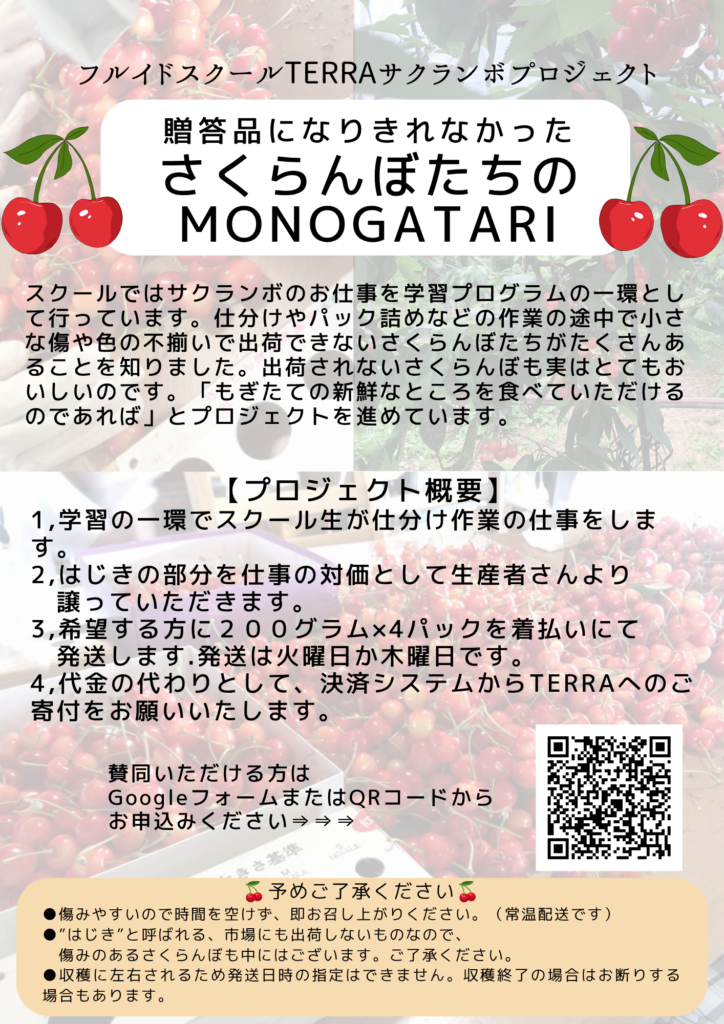 サクランボプロジェクトスタート